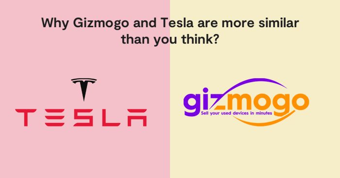 why-gizmogo-and-tesla-are-more-similar-than-you-think