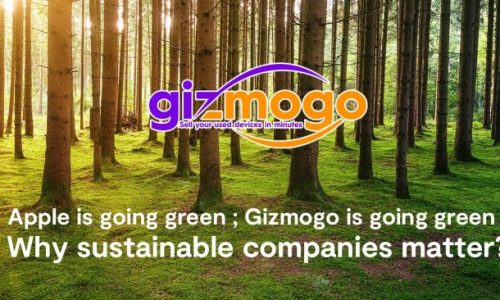 apple-is-going-green-gizmogo-is-going-green-why-sustainable-companies-matter